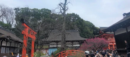 京は下鴨神社の流し雛、、、