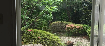 仕事の合間の気分転換〜植物の水遣り〜