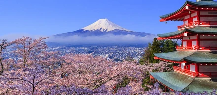 『日本の英語教育を変えたい』