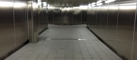 進路の選択肢