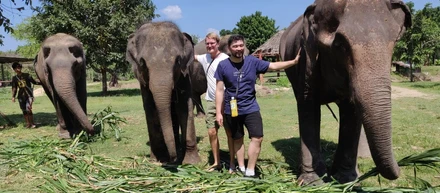 Elephant’s World – The elephant sanctuary