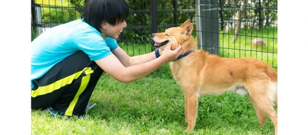 広島の犬「殺処分ゼロ」1000日達成