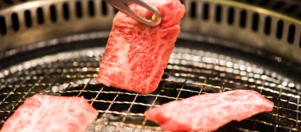 会社のお金で美味しいご飯食べたくないですか？　#2019/05