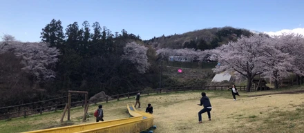 【株式会社farmo】私たちのオフィスがある栃木県鹿沼市はこんな場所です！