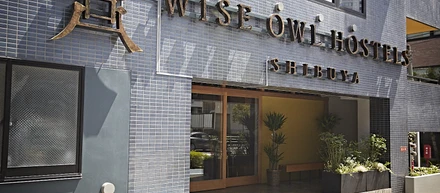 WISE OWLとは？