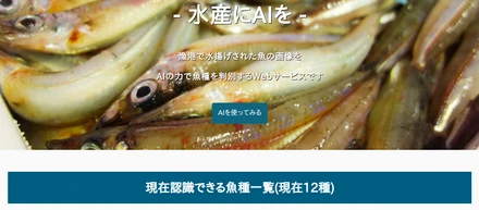 AI技術を魚種の画像分類に応用してみた！