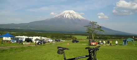 職務経歴