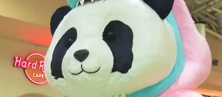 東京支社のオフィス周辺紹介