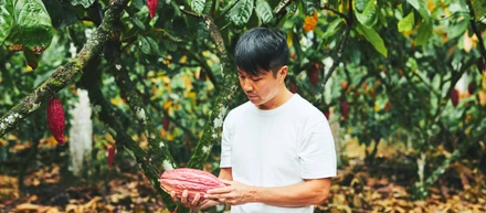 MAISON CACAOが大切にする「Farm to Customer」とは？