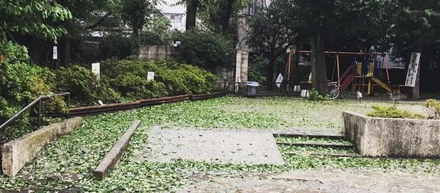 嵐の前の静けさからの暴風雨とその後を考えてみた。