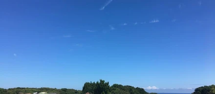 やっと晴れました。