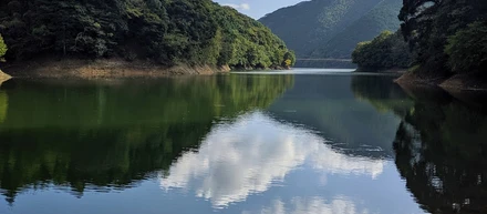 PHPとの出会い
