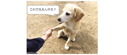 【CEDEC 2019 シリーズ④】ニューラルネットワークのAIについての感想