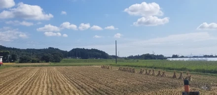 【株式会社farmo】募集職種を解説！成長できる職場環境が皆さんを待っています