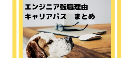 エンジニアの転職理由、キャリアパスをまとめてみた。