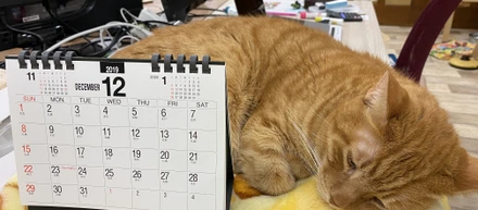 qnote アドベントカレンダー 2019
