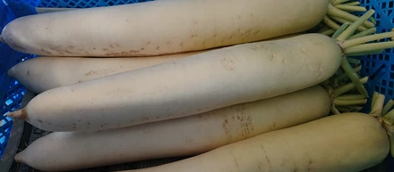 「旬」の野菜を届けます！！
