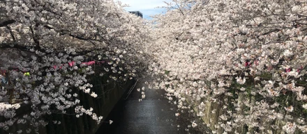 築いてきたものが一瞬でくずれていく、お金のために働く人生って何だろう？