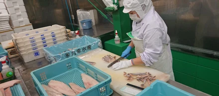 魚、切身にしています！２
