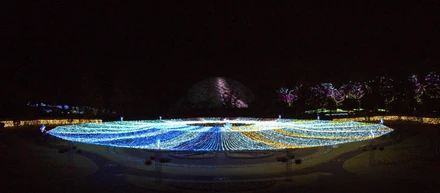 イルミネーション実績① 2019