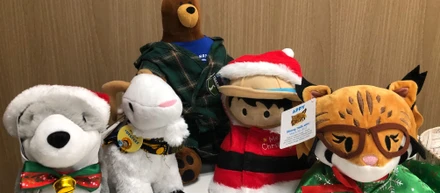 はじめてPardotもくもく会（MAnaviキャンプ）に行ってきましたレポ