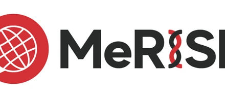 【MeRISEメンバー紹介】中山さん