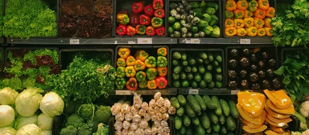 SDGsをはじめる（目標１２：つくる責任 つかう責任）