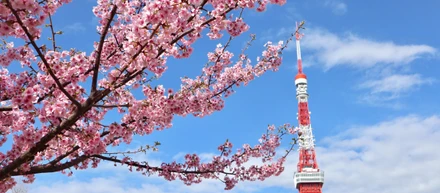 かもめ集合写真の撮影会を行いました！＠芝公園