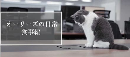 オーリーズの日常・食事編