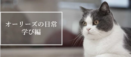 オーリーズの日常・学び編
