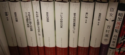 僕が小説をどう考えているか