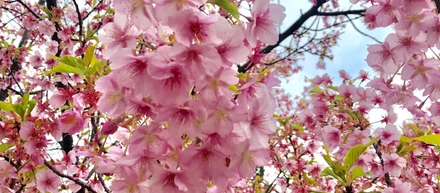 新入社員のみなさんおめでとうございます！