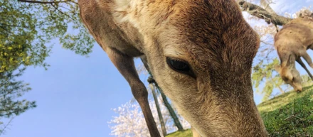 【春のきせつと共に・・・】