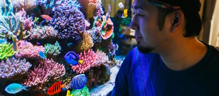 CAO（Chief Aquarium Officer）というシゴトとは？取締役 増田へのインタビュー
