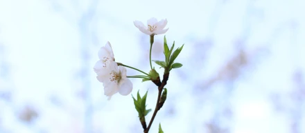 私のお仕事について紹介します！