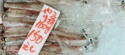 趣味　イカ料理の研究
