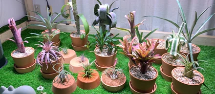 素敵＆おもしろチャンネル紹介〜第3回　botanicalチャンネル編〜