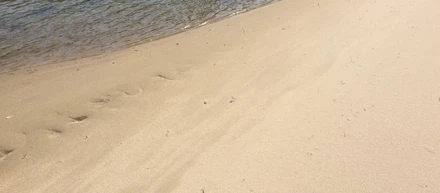アーシングの効果