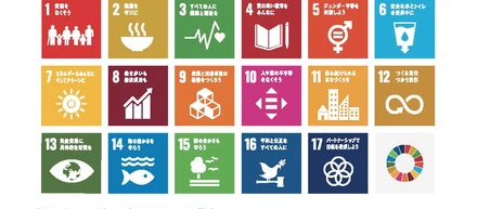 SDGs           No13