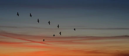 全国渡り鳥生活倶楽部とは？　代表メッセージ　＃3