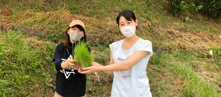 2020年度　菊川市せんがまち（千框）で田植えを行いました！