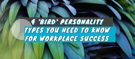 4 ‘Bird’ Personality Types You Need to Know for Workplace Success