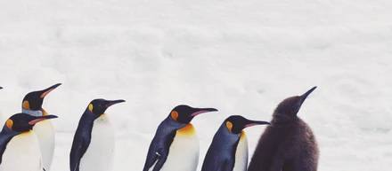 イマこそ発信したい「ルーティンのすすめ」