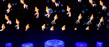 浮遊する3Dホログラムディスプレイで見る人に新しい体験を！ アートアクアリウム製作委員会主催の アートアクアリウム美術館に協賛