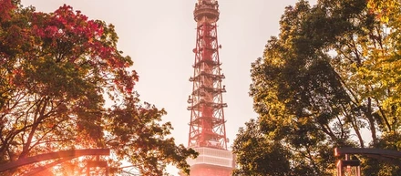 いきなり田舎から上京　～IT業界 ネットワークエンジニア編～