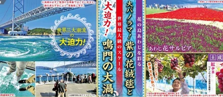 STEPトラベル過去ツアー紹介「鳴門の渦潮と淡路花さじきの旅」