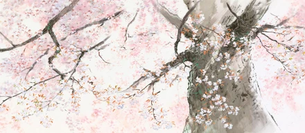 小森という人間について