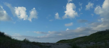 【就活中21卒】私の就活軸