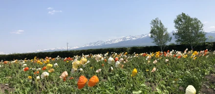 地方勤務制度の条件を変更致しました