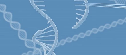 ノーベル化学賞：クリスパーキャス9「CRISPR-Cas9」って何が凄いの？